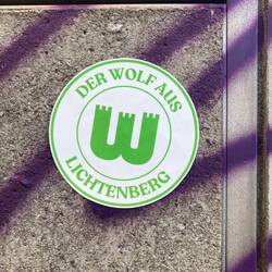 Hoffentlich der einzige Wolf für die nächsten Tage🤪