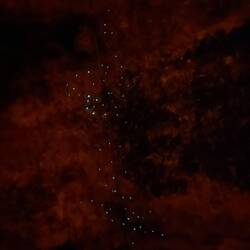 Glühwürmchen an der Tunneldecke