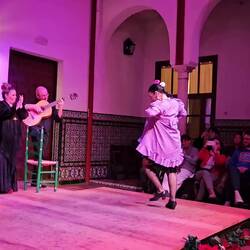 Short sample demo (doesn't capture music or dancing at all, but it is a sample)