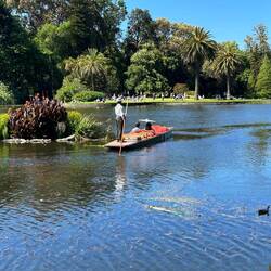 ...ein Gondoliere mitten in Melbourne mit dem Stocherkahn😅