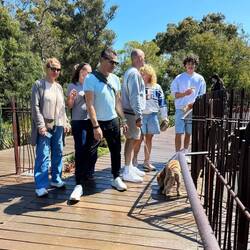 ...am nächsten Tag im "Royal Botanic Garden" 🏝️🌳