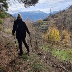 Im Hintergrund Ausläufer der Sierra Nevada
