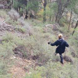 Wir sind auf dem Holzweg