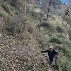 Und dann auf gut ausgebauten Pfaden weiter