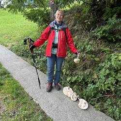 Endlich, frische Pilze