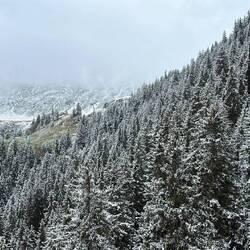 Weihnachten ist nicht mehr weit