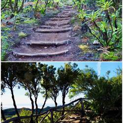 Recht einfacher und kurzer Weg auf den Gipfel