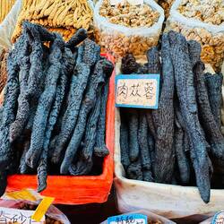 Diese Kohleknüppel sind pflanzlich.