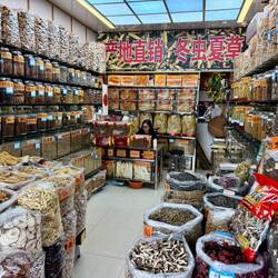 Hier werden Heilpilze und anderes Zeug angeboten. Wir sind skeptisch.