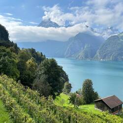 Urner See