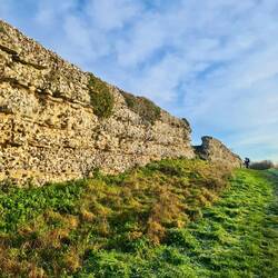 Silchester Roman City Walls