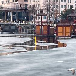 If only we had more time