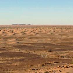 A "nursery school for baby dunes!