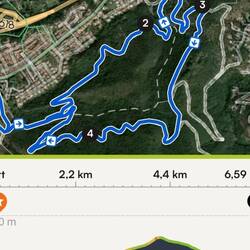 Schöne Neujahrswanderung 🙋‍♂️🐕‍🦺🙋‍♀️