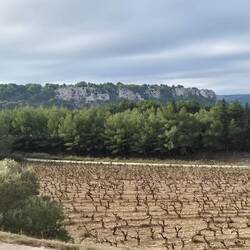 Unterwegs durch die Corbieres, dem vorgelagertem Gebirge der Pyrenäen.