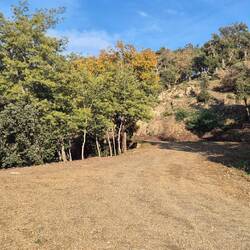Unser Wanderweg, für Happy 🐕‍🦺 überaus interessant.