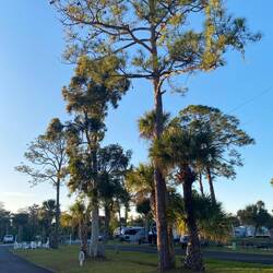 Nach kurzem Temperatursturz auf 2-3Grad C. In der Neujahrsnacht nun wieder im Durchschnitt 😉