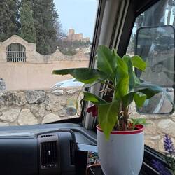 Room with a view ☝️😉 Habitaciones con vistas al castillo