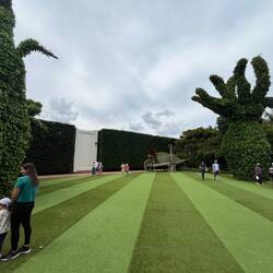 Surrealist Garden