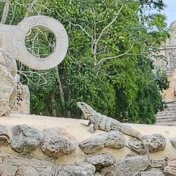 ... vermutlich aber nicht mit dem Fuß 😏