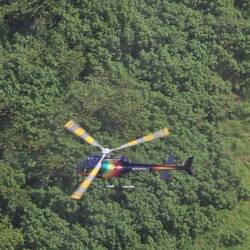 Andere sind auch unterwegs