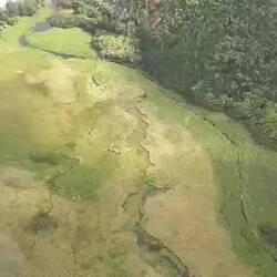 Andere sind auch unterwegs