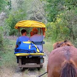 Das Transportmittel dorthin ... die erste Kutsche ...