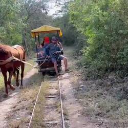 ... und die zweite ... zu sechst brauchen wir zwei Kutschen ...