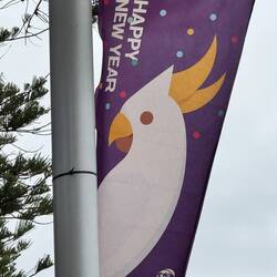 Mein Freund Jack 🦜