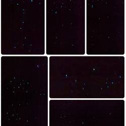 Vers luisants dans la forêt de Fox Glacier