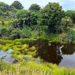 Site de l'ancienne exploitation aurifère