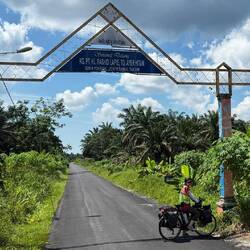 Straight roads. Palm oil plantations. Repeat.