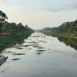 Long straight irrigation channels.