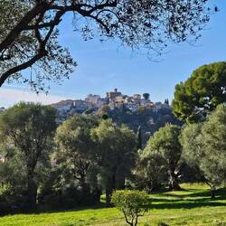 Vom ehemaligen Anwesen Renoirs blickt man auf den Burghügel mit der Oberstadt ...
