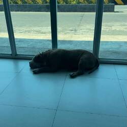 Warteraum von "GTVC"