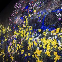 Exhibition teamLabFutureWorld