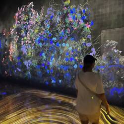 Exhibition teamLabFutureWorld