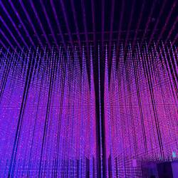 Exhibition teamLabFutureWorld