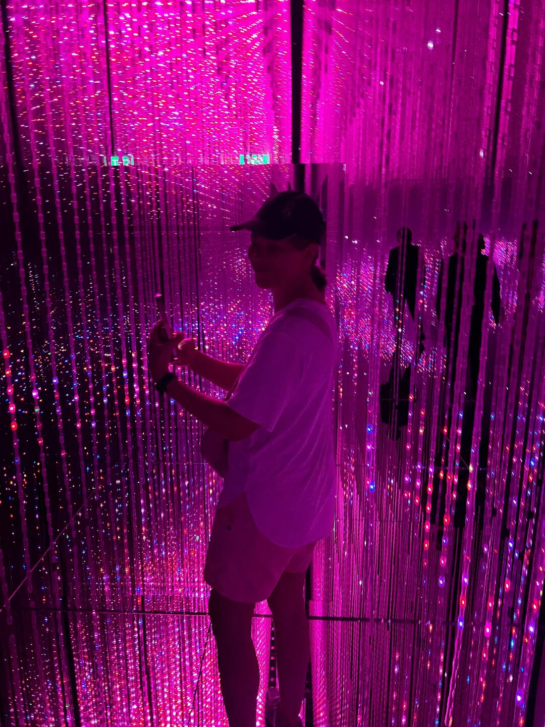 Exhibition teamLabFutureWorld