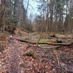 Viele abwechslungsreiche Wege