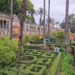 View of one garden area from elevated walkway