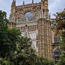 South side facade with orange trees