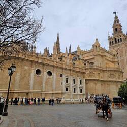 View of cathedral from Plaza del Triumpho with horse carriage rentals