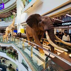 Eingang zum Wild-Animal-Park