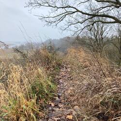 Ca. 50 m "Kammweg" kurz vor Lebus