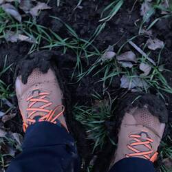 Um nicht an einer Schafweide und deren Hunden vorbei zu müssen übern lehmigen Acker😅