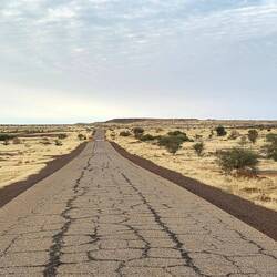 Grass at last, even if dry