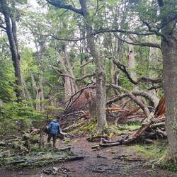Wanderung am See entlang zur chilenischen Grenze