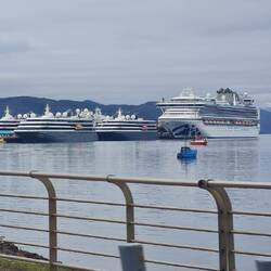 Zurück in Ushuaia: Antarktiskreuzfahrer! Wir entscheiden uns dagegen.