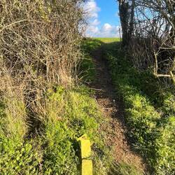 Yellow arrow made of stone showing the way ➡️